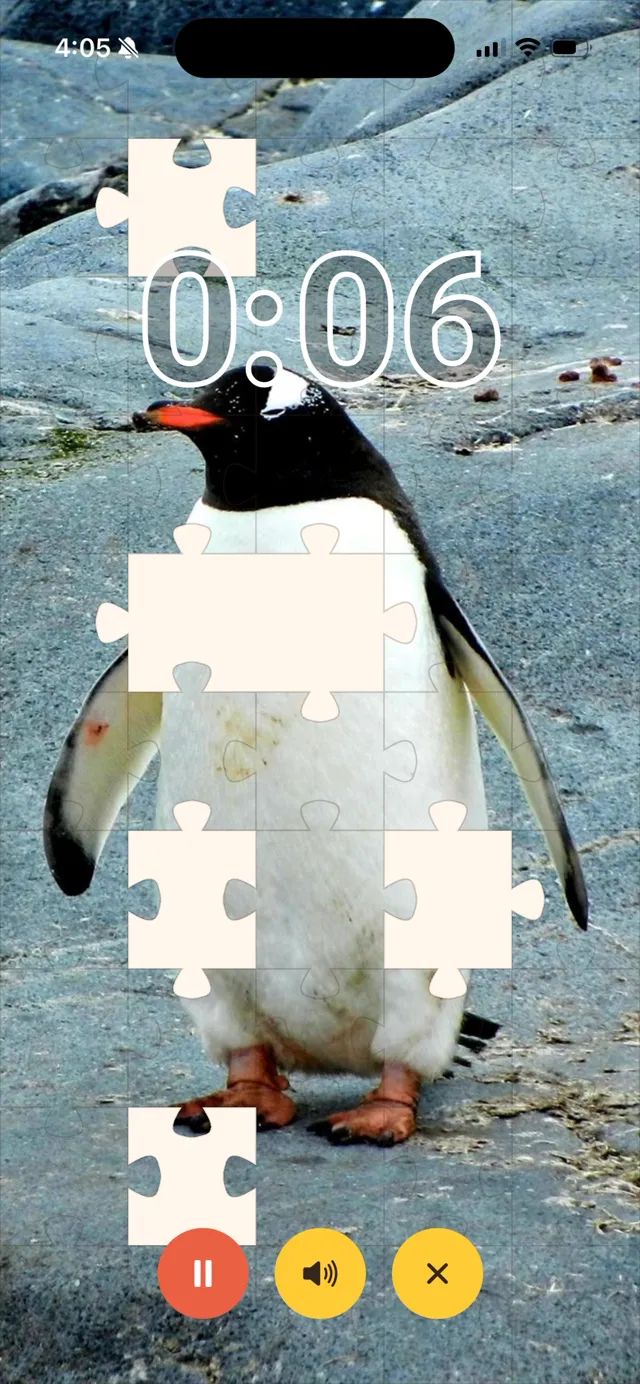 A running timer with six seconds left, showing a photograph of a penguin most of the way uncovered behind puzzle pieces.